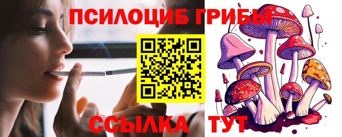 Псилоцибиновые грибы Psilocybe  Вход с VPN  Краснодар 